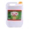 Dalda Canola Oil, Fortified, 16 Litres, Plastic Can