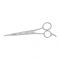 Dar Expo Barber Scissor, 6.5''