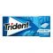 Trident Sugar Free Gum, Fresh Peppermint Flavor, 14gm