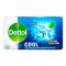 Dettol Profresh Cool Soap, 110g