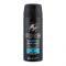 Axe Collision 48H Fresh Leather + Cookies Deodorant Spray For Men, 150ml