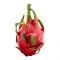 Imported Dragon Fruit 1 Piece