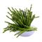 Imported Baby Asparagus 125g (Approx)