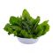 Organic Baby Spinach 250gm (Approx)