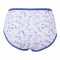 IFG Deluxe Brief NM 018 Panty, Blue Flower