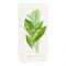 Yves Rocher Eau Fraiche The Vert, Fragrance For Women, 100ml