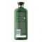 Herbal Essences Bio Renew Lightweight Shine Cucumber & Green Tea Shampoo, Paraben Free, 400ml