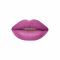 Vi'da New York Matte Matters Lipstick, 352 High Heels