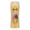 Suave Caffeine & Chia Infusion Thick & Full Shampoo, 373ml