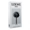 Loewe Solo Cedro Eau De Toilette, Fragrance For Men, 100ml