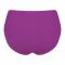 BeBelle Silkie Soft Cotton Women's Brief Panty, Camisoles & Knickers, Purple, 1483