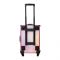 Gladking Professional Beauty Box, Pink Shine, TR-9664B-W