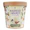 Kachelo's Gelato Vanilla Cinnamon Crumble  Ice Cream, 280g