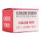 Color Studio Professional Indian Pink Color Pot, Lip + Cheek Tint