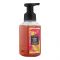 Bath & Body Works Waikiki Beach Coconut Gentle Foaming Hand Soap, 259ml