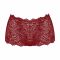 IFG Blossom 001 Brief Panty, Maroon