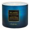 Bath & Body Works Atlantic Scented Candle, 411g