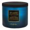 Bath & Body Works Atlantic Scented Candle, 411g