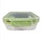 Homeatic Stainless Steel Lunch Box, Single Compartment, 900ml Capacity, Green, HMT-001