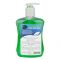 Luvvel Aloe Vera Anti-Bacterial Liquid Hand Wash, 500ml