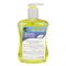 Luvvel Lemon Anti-Bacterial Liquid Hand Wash, 500ml