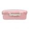 Plastic Lunch Box With Metal Cutlery, Pink, 5.5cm (H) x 16.5cm (W) x 10cm (D), (SH-203) 0001004