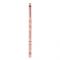 Essence Disney The Lion King Eyeliner Brush