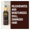 CHI Argan Oil Leave In Treatment, Sulfate & Paraben-Free, For Dull & Damaged Hair, 89ml