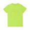 IXAMPLE Boys North Shore Green Tee, IXSBTS 54051