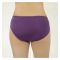 BeBelle Silkie Soft Cotton Women's Brief Panty, Camisoles & Knickers, Purple, 1483