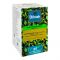 Dilmah Pure Ceylon Green Tea, All Natural, 25 Tea Bags