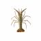 Green Lobster, 1 KG (Gross Weight)