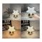 Star Crystal Table Lamp, Rechargeable, 12 Hours Of Charging, RGBW, Tactile Switch, 101249