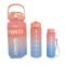 AJF Gradient Plastic Water Bottles 3 In 1 Set, 2000ml+700ml+260ml, Leak-Proof, BPA-Free, Assorted Colors, 3 In 1-Pack