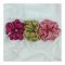 Sandeela Silk/Chiffon Classic Scrunchies, Pink/Green/Magenta, 3-Pack, M03-02-3014