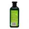 XHC Nourishing Green Tea Hair Shampoo, Paraben & SLS Free, 400ml