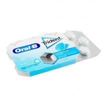 Buy Trident Oral-B Peppermint Flavor Chewing Gum, 17g Online At Best ...