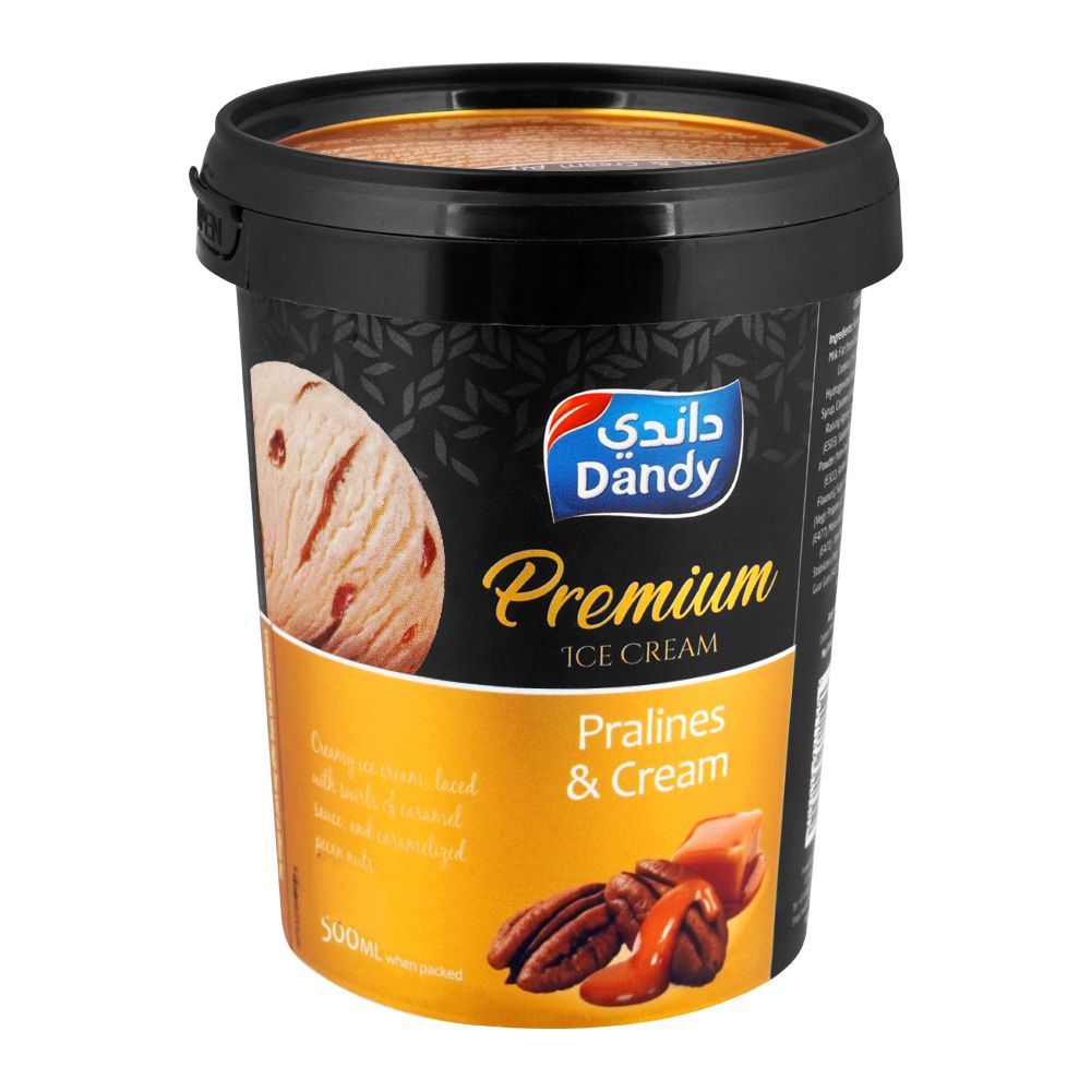Dandy Premium Pralines & Cream Ice Cream 500ml
