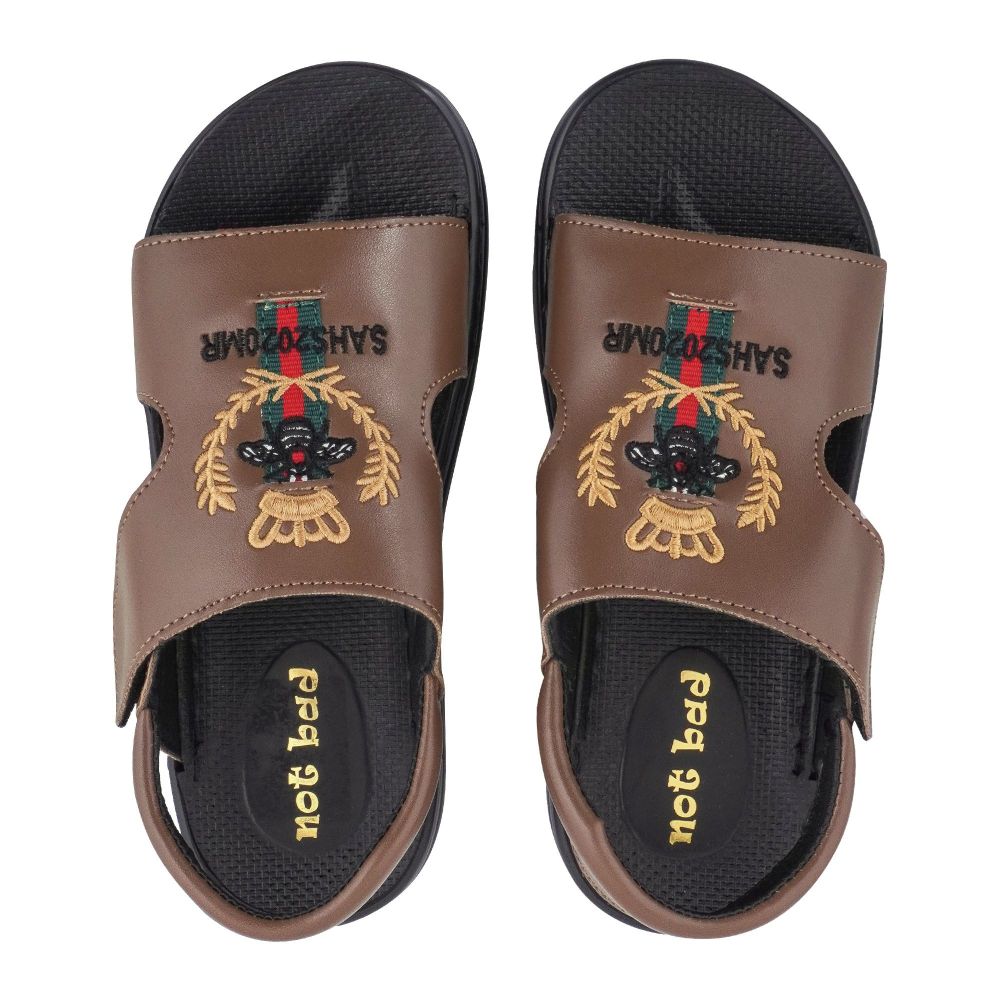 Kid's Sandals, For Boys, Brown, 228-50