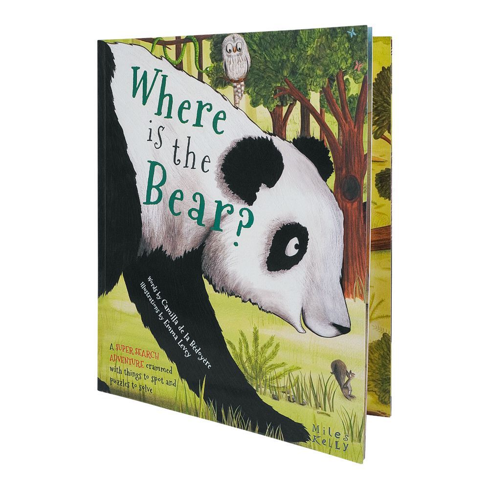 Super Search Where Is The Bear, Book