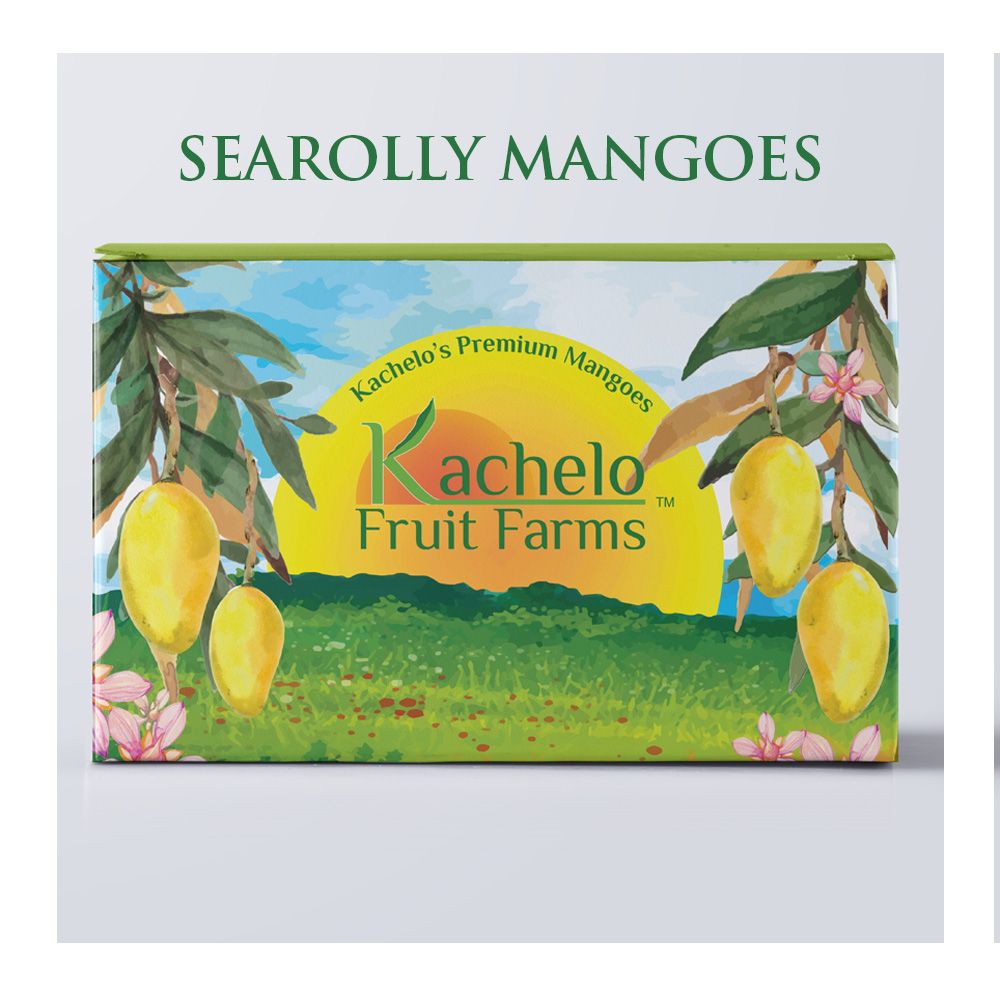 Kachelo's Searolly Mangoes, 6KG Box