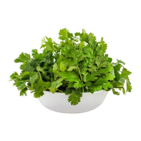 Coriander (Dhania) Leaves Local 1-Bunch