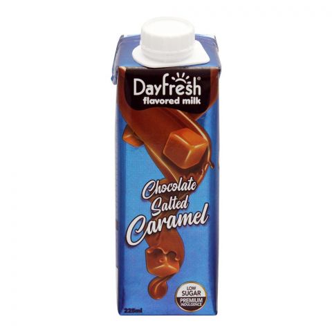 Day Fresh Chocolate Salted Caramel Milk, 225ml