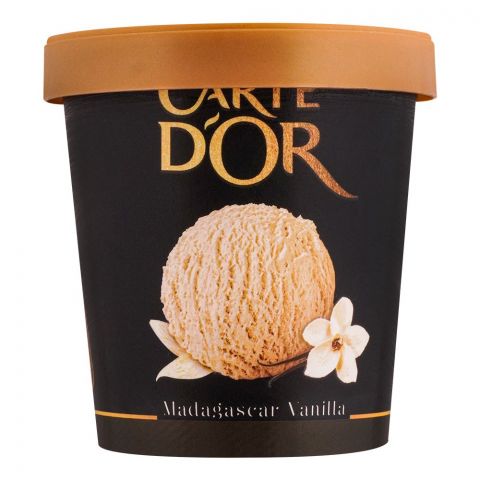 Carte D'Or Madagascar Vanilla Ice Cream, 450ml