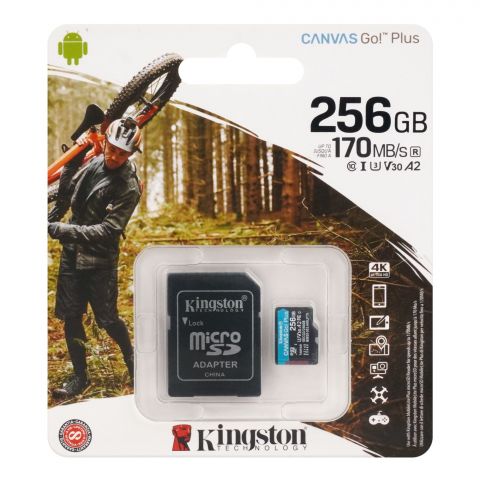 Kingston 256GB Micro SD Card, 170MB/s Canvas Go! Plus, SDCG3/256GB