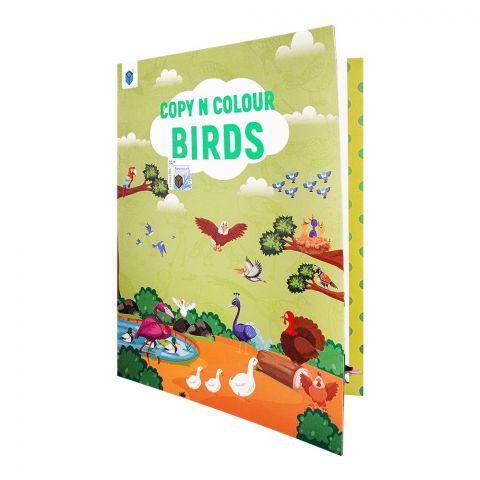 Copy N Colour Birds, Book