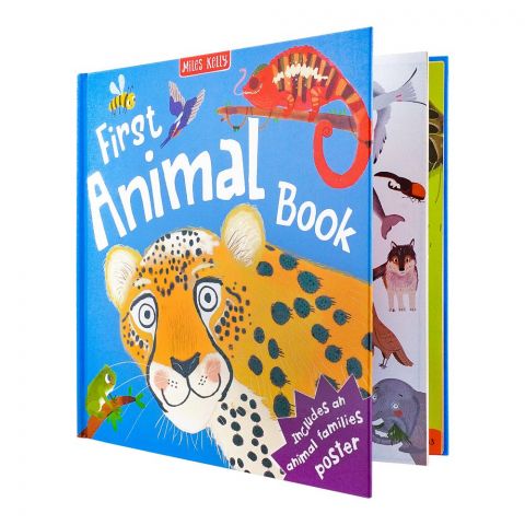 Usborne: First Animal, Book