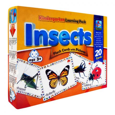 Jr. Learners Flash Card With Pictures Large Insects, For 3+ Years, 228-2412