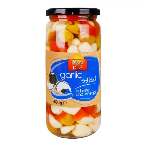 Best Day Garlic Salad In Brine & Vinegar, 480g