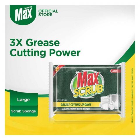 Max Scrub With Sponge, Large, 1 Count